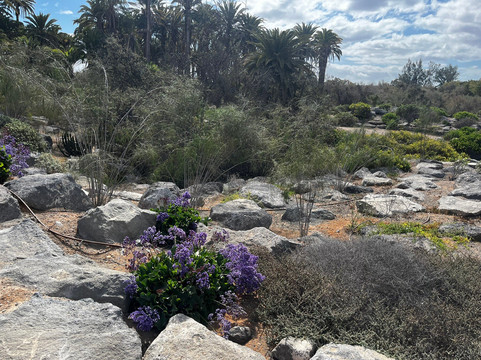 Parque Tony Gallardo-马斯帕洛马斯必去景点