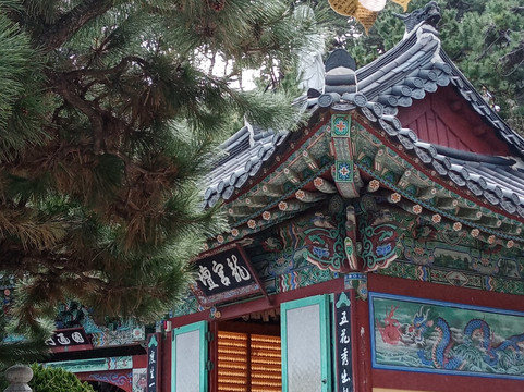 Haedong Yonggungsa-釜山必去景点