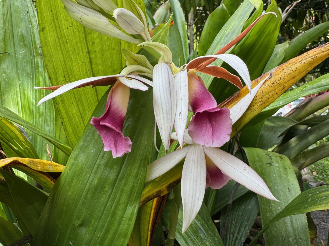 Jardines Secretos-San Gerardo De Rivas必去景点