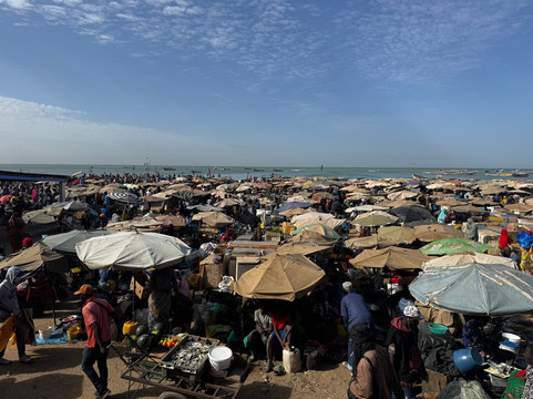 Guide to Sénégal-Ponto必去景点