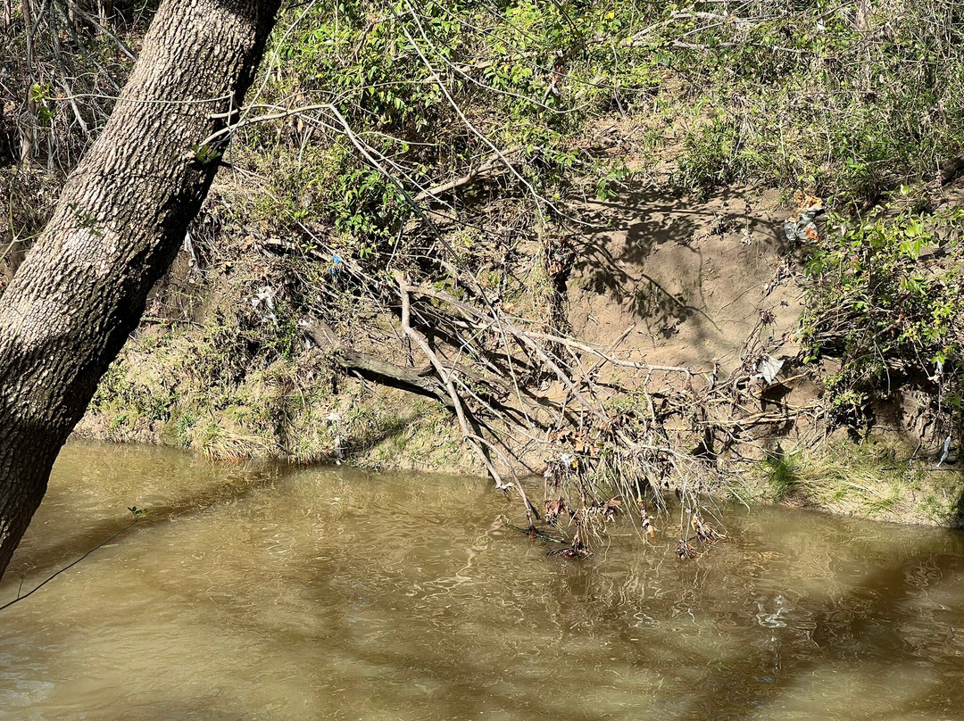 Airfield Falls Trailhead & Conservation Park-沃思堡必去景点