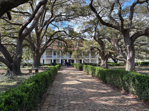 Whitney Plantation-Wallace必去景点