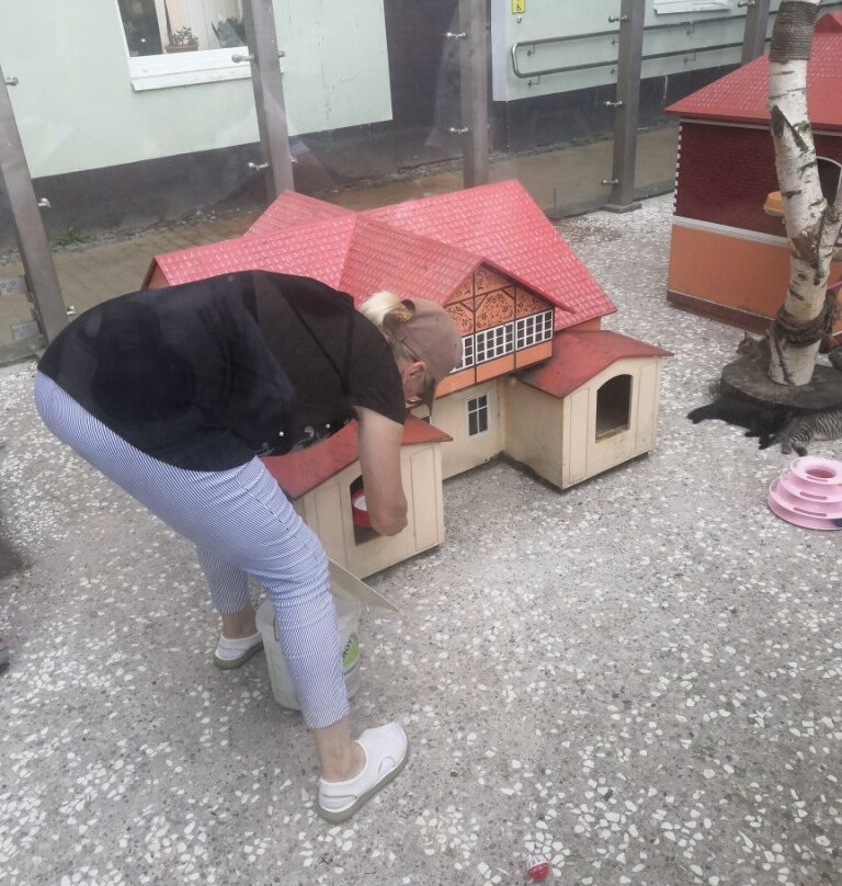 Square "Kotofeinya"-泽列诺格拉茨克必去景点