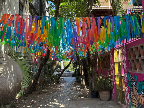 Vallarta Coconut Transfer-瓦拉塔港必去景点