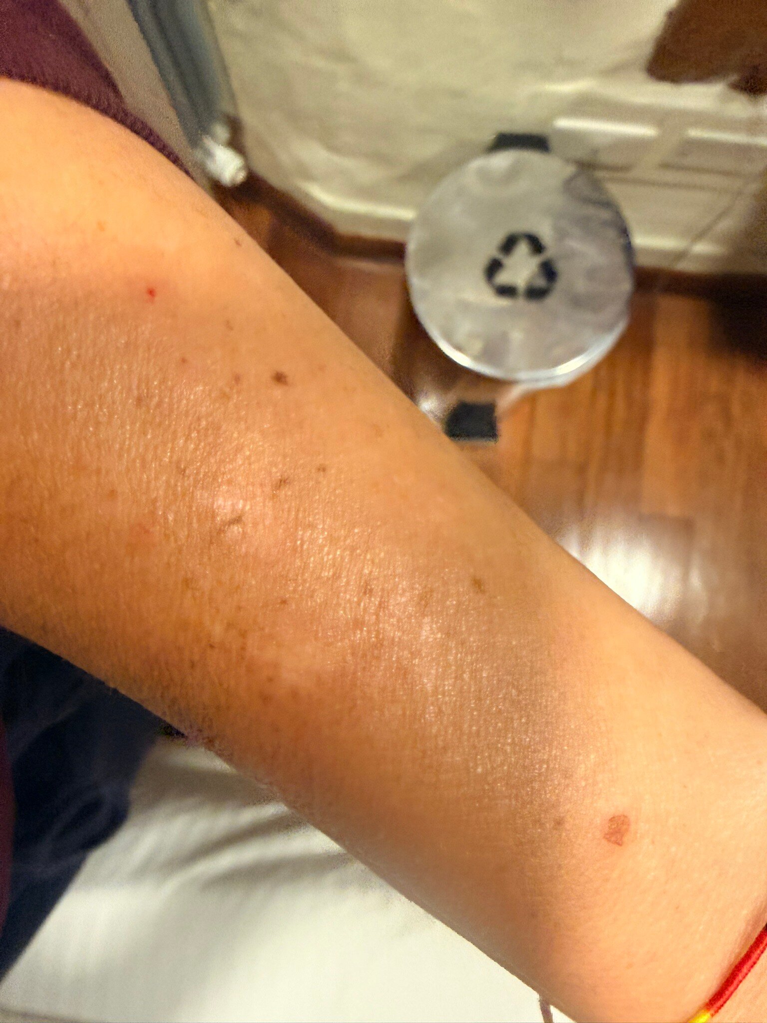 穆伊斯卡酒店-官方