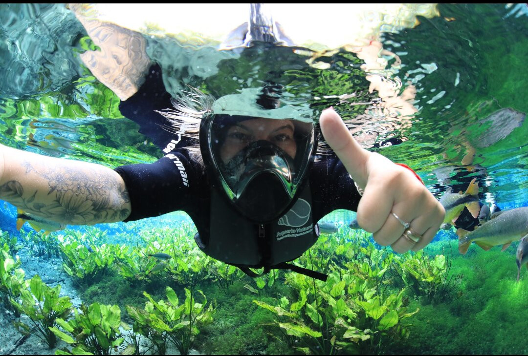 Aquario Natural-博尼图必去景点