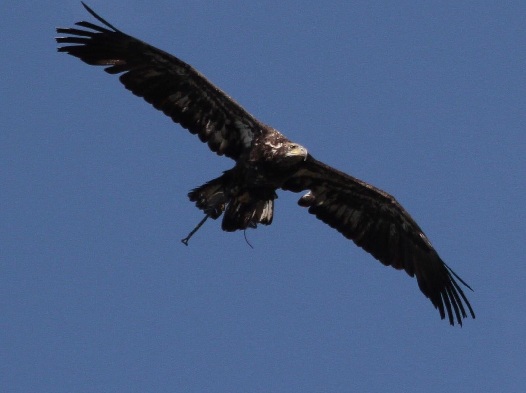 Wild World-Porto Potenza Picena必去景点