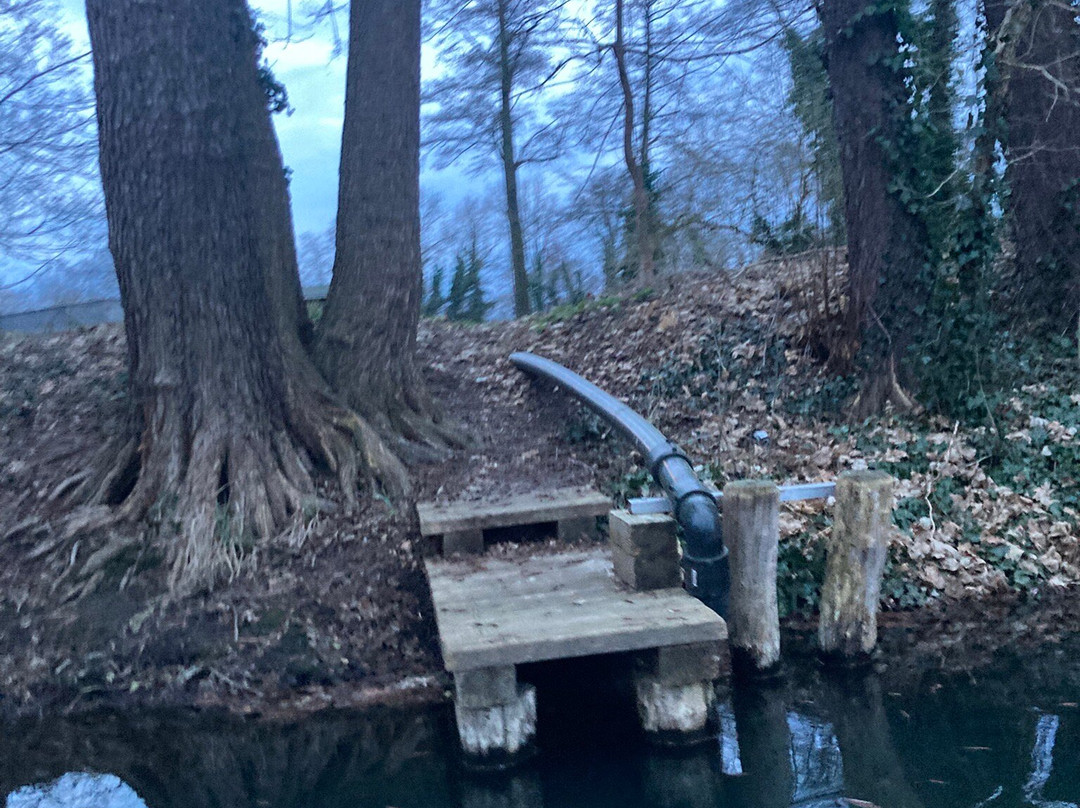 Spreehafen Burg-Burg (Spreewald)必去景点