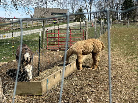 Apple Hill Farm-Banner Elk必去景点