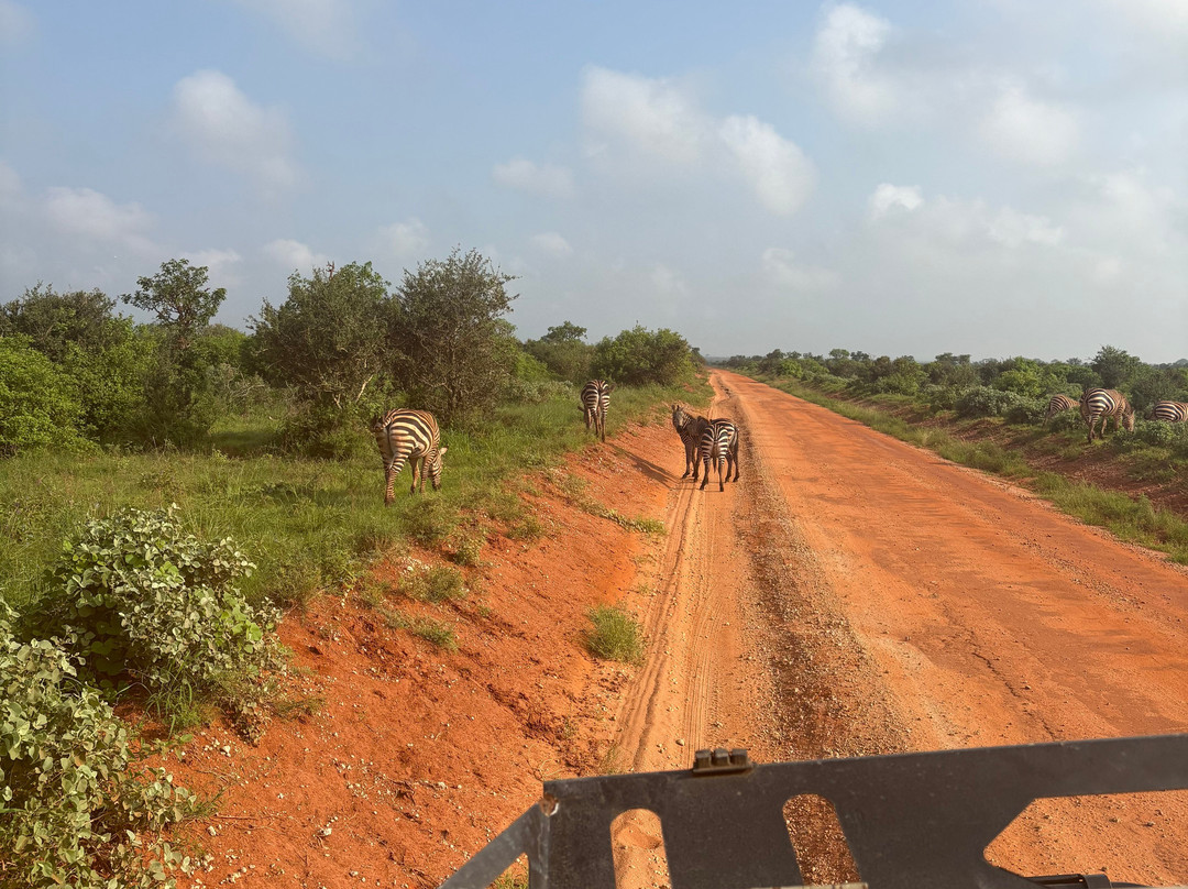 Elky Tours & Travel Kenya-迪亚尼必去景点