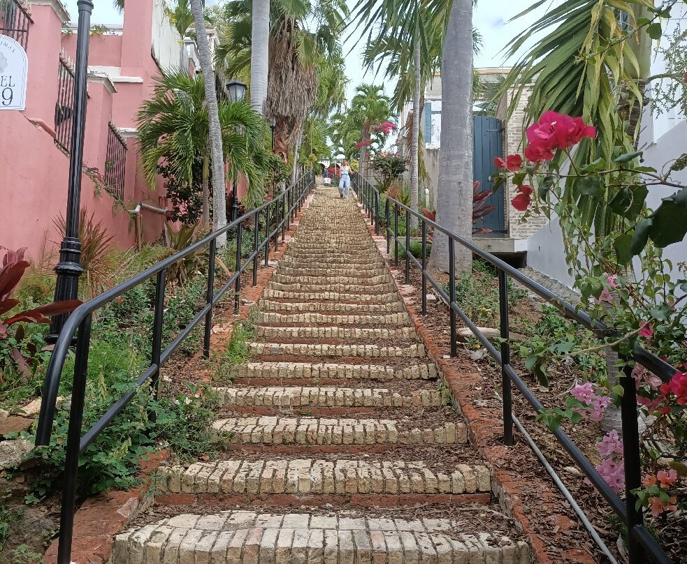 99 Steps-夏洛特阿马利亚必去景点