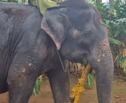 Suryatrips-Vizhinjam必去景点