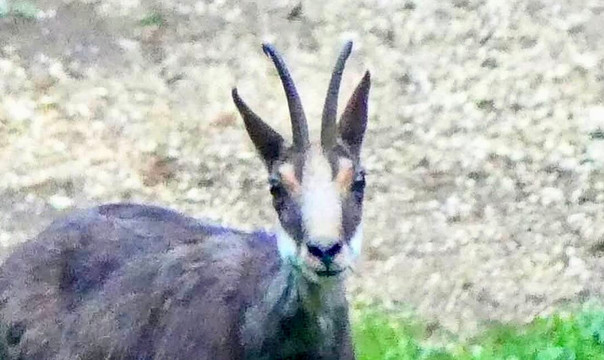 卡斯特德蒙德酒店主图