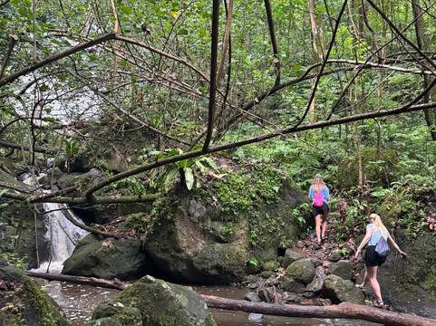 Afareaitu Waterfalls-Afareaitu必去景点
