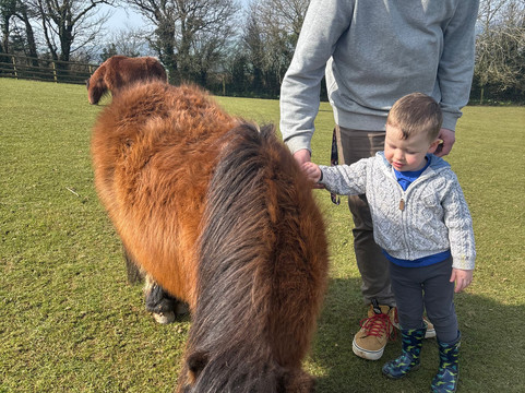 Pennywell Farm-Buckfastleigh必去景点
