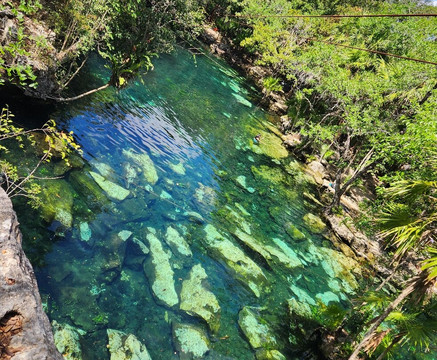 Dressel Divers Playa Del Carmen-普拉亚德尔卡曼必去景点