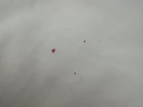 温德姆戴斯酒店 罗阿诺克/霍林斯 靠近I-81主图