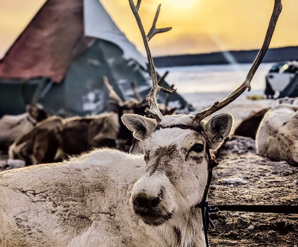 Kazakh Tour-Olgiy必去景点