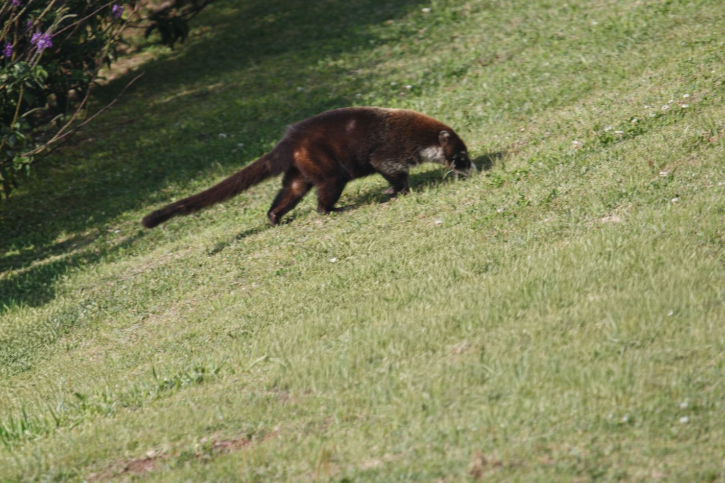厄尔爱斯达梦泰恩酒店-官方