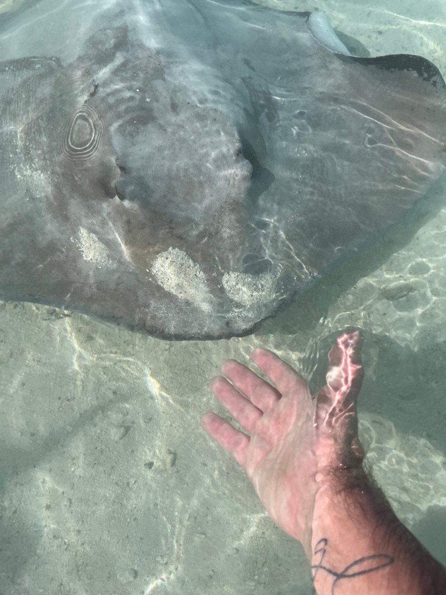 Pension Papahani-官方