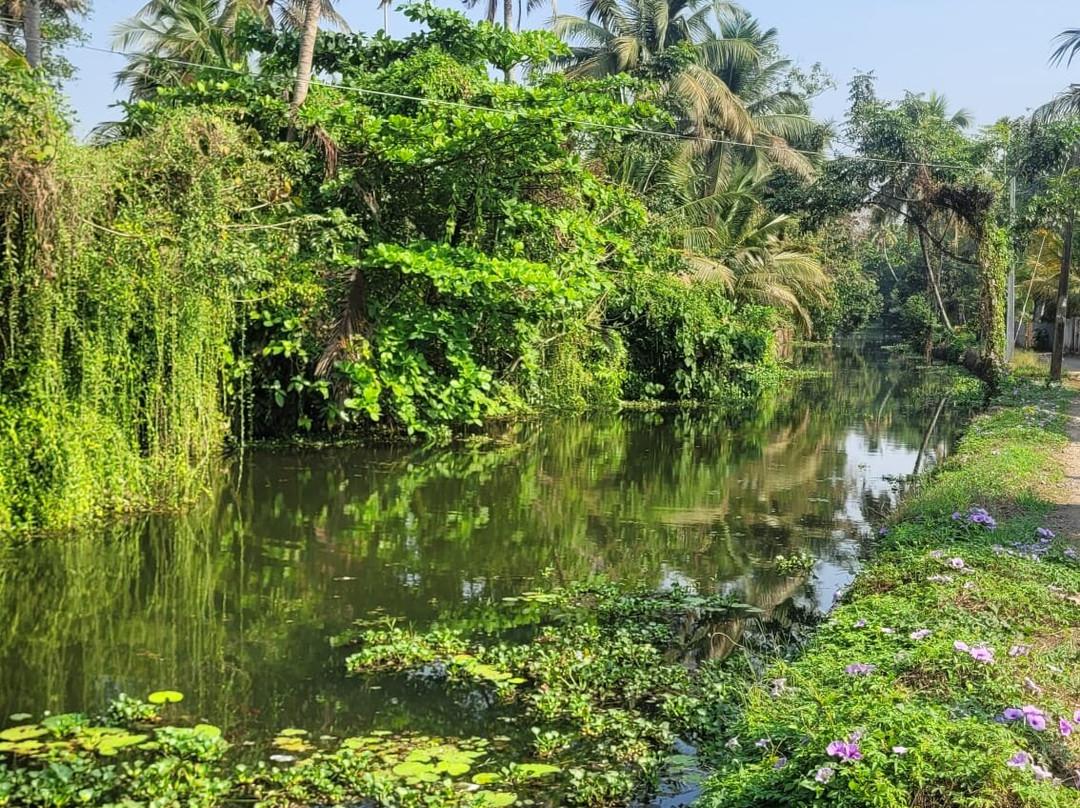 库瑞阿拉切瑞屋家庭旅馆主图