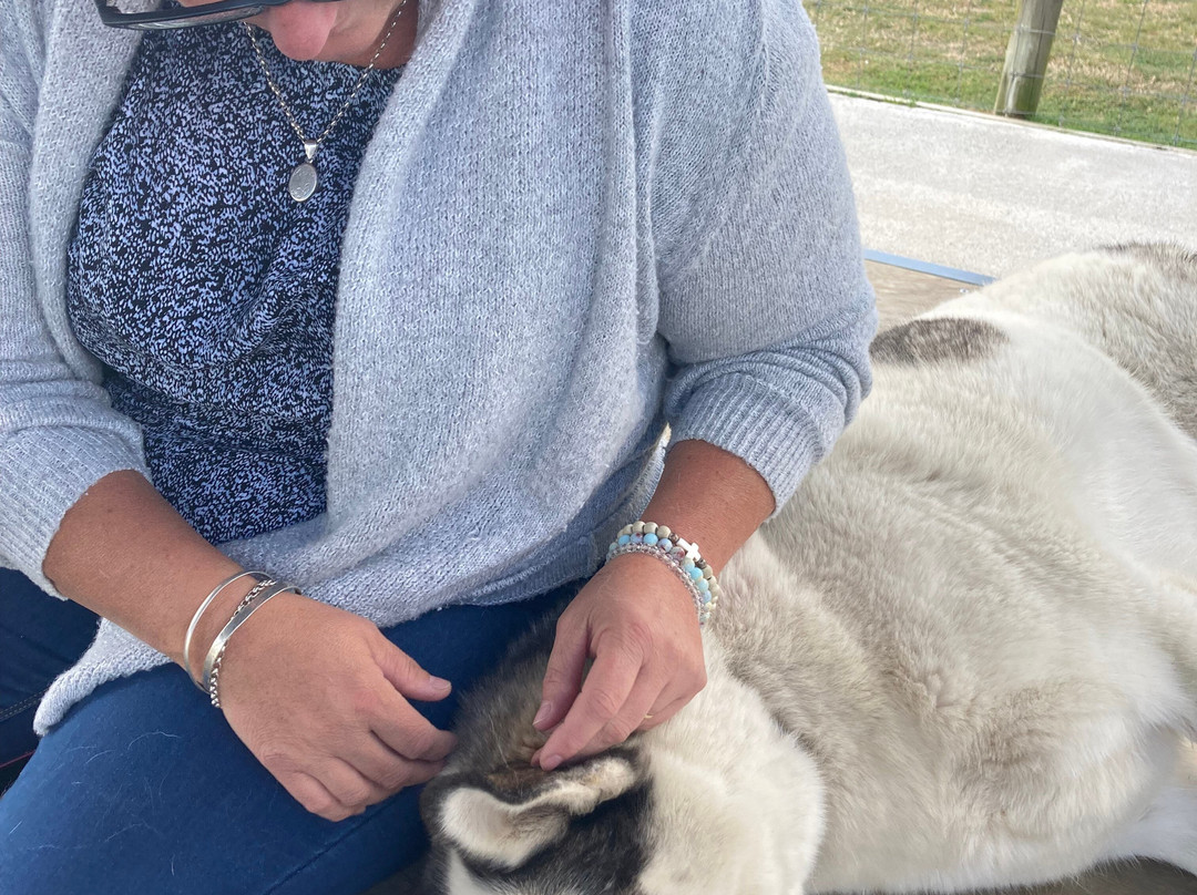 Timberline Racing Siberian Huskies-陶波必去景点