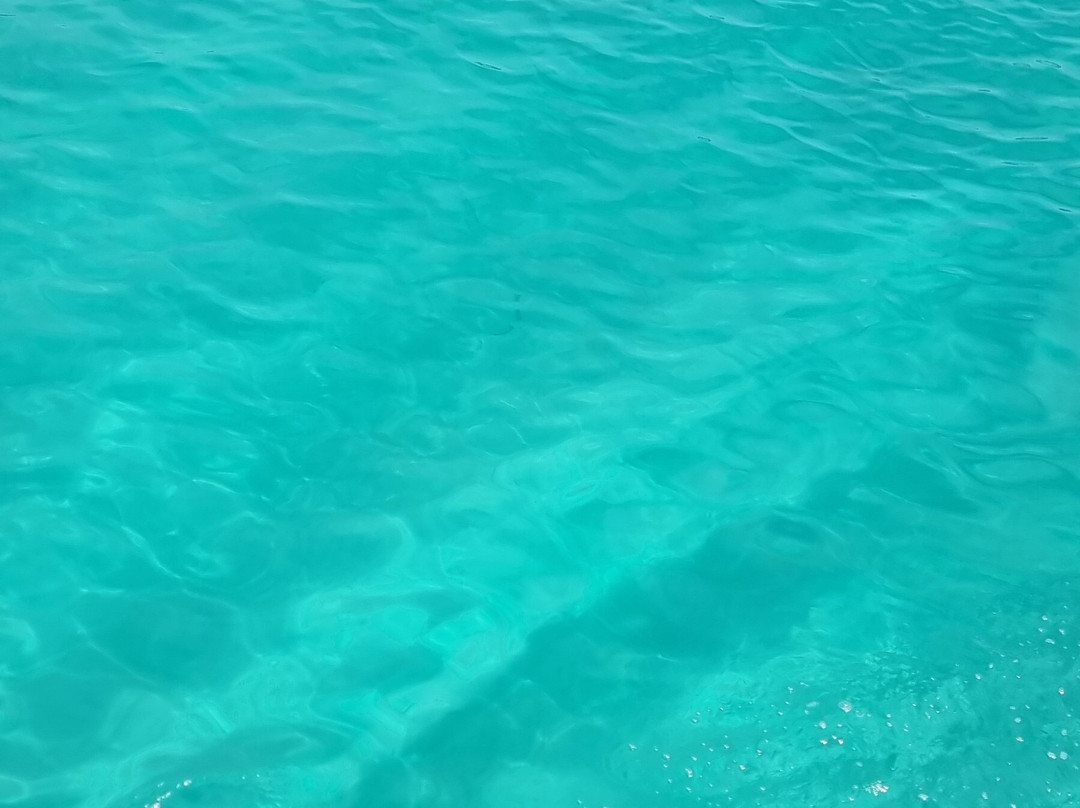 Jagau Tour-阿拉伊阿尔港必去景点