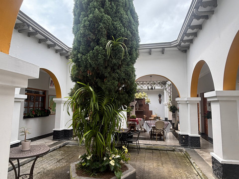 唐阿方索酒店主图