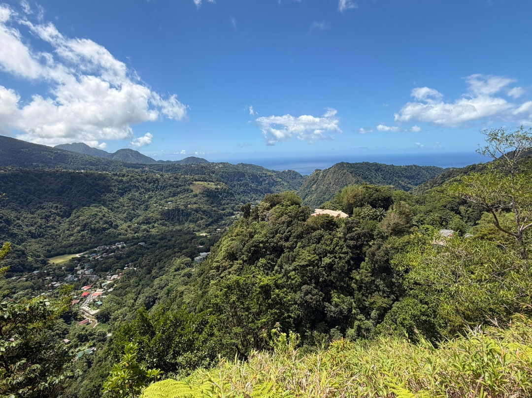 Nature Isle Explorer Day Tours-罗索必去景点