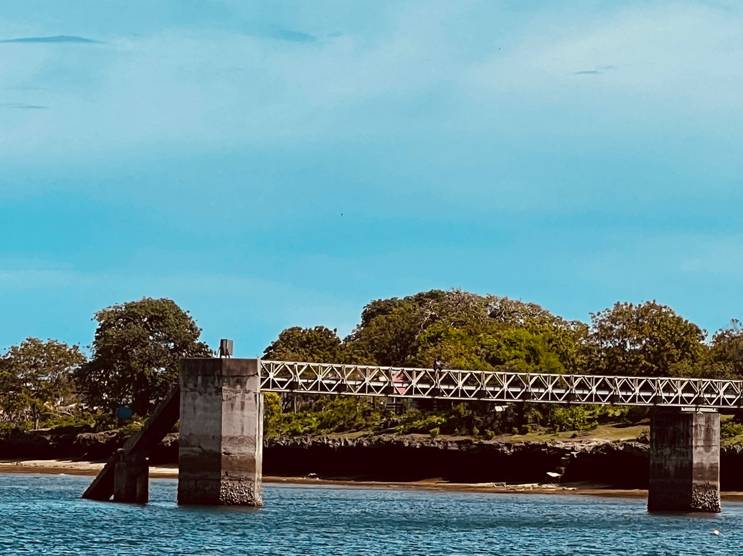 Nomadic Sails-Wasini Island必去景点