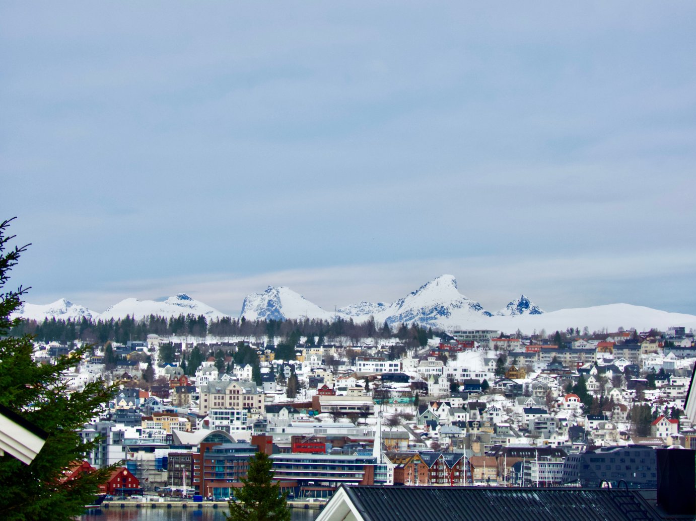 恩特城市酒店-官方