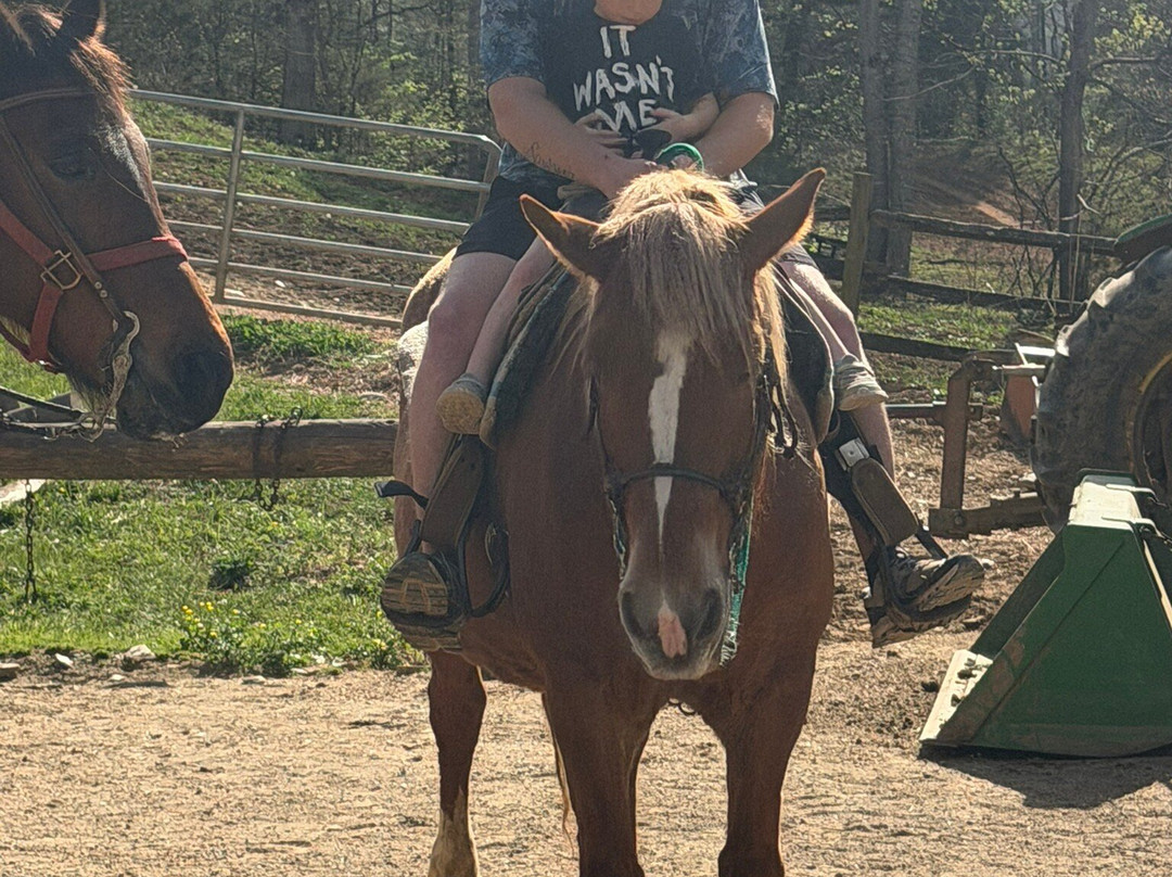 Davy Crockett Riding Stables-汤森必去景点