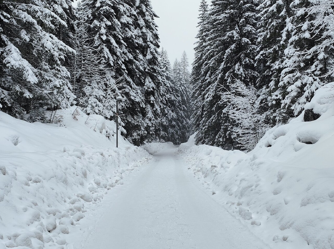 Durmitor National Park Visitor Centre-Zabljak必去景点