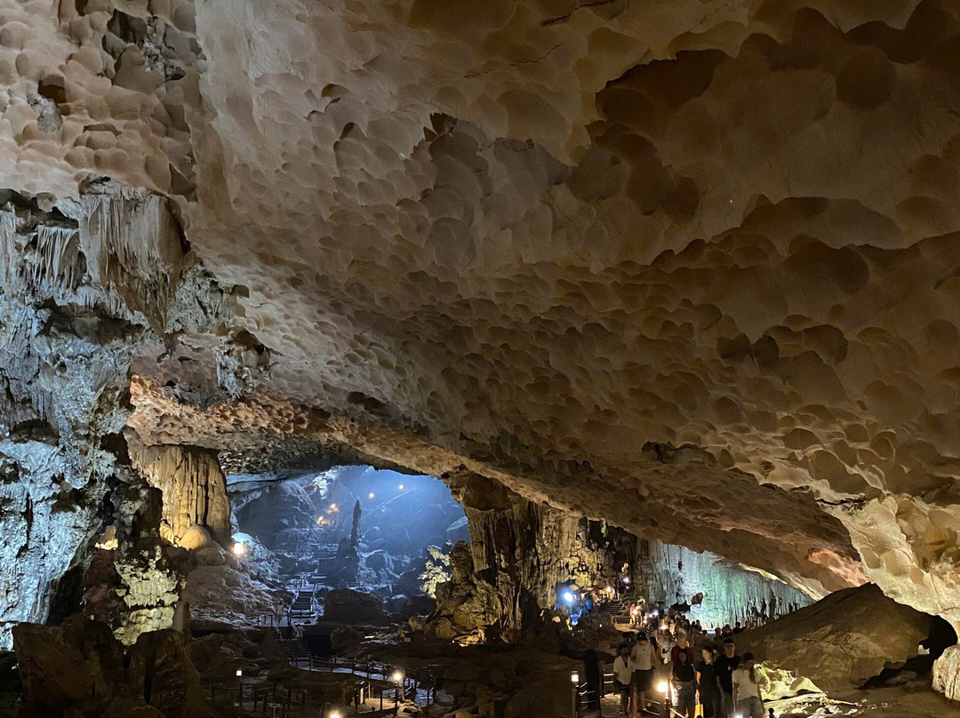 Arcady Boutique Cruise-团洲岛必去景点