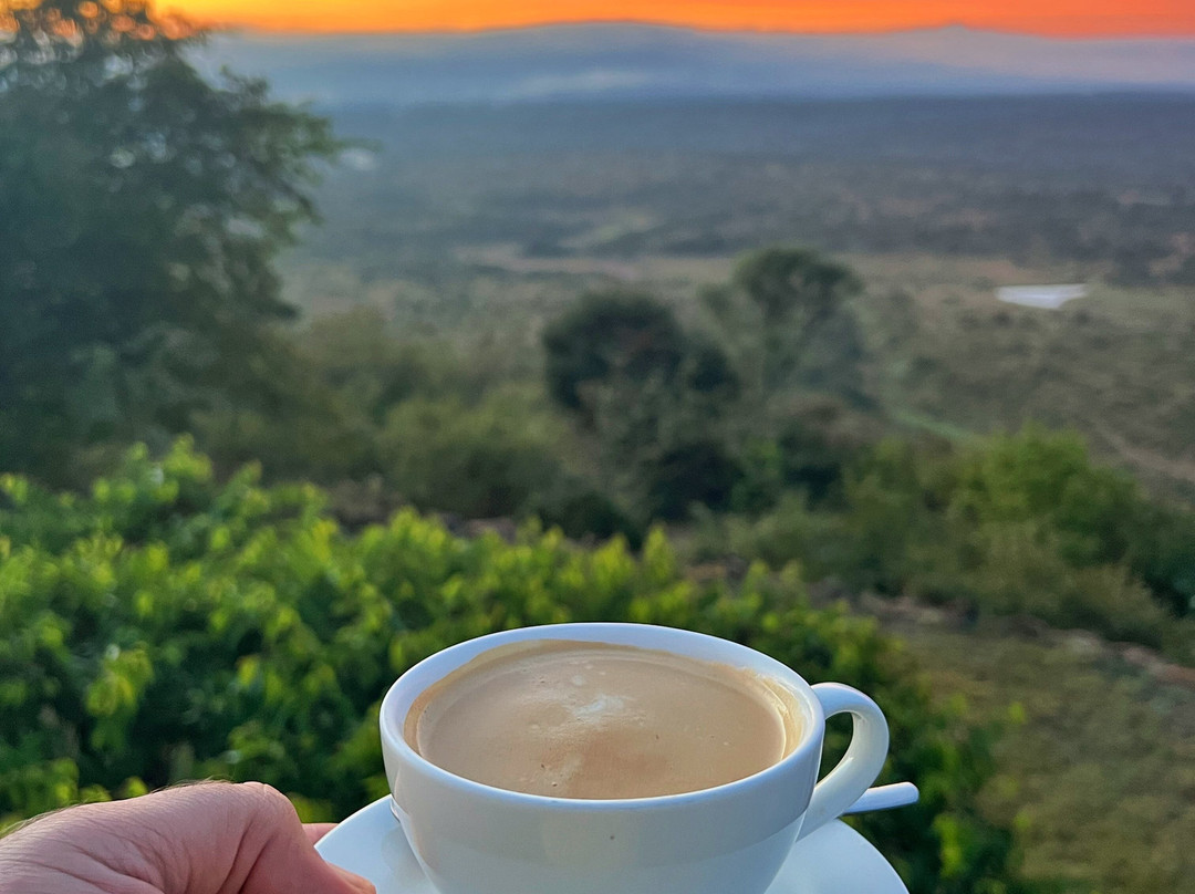 African Quest Safaris-蒙巴萨必去景点