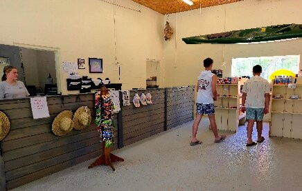 Hart Springs-Bell必去景点