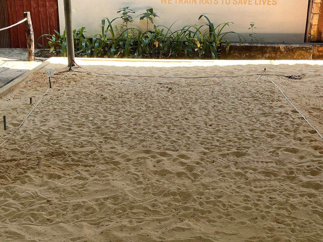 APOPO Visitor Center-暹粒必去景点