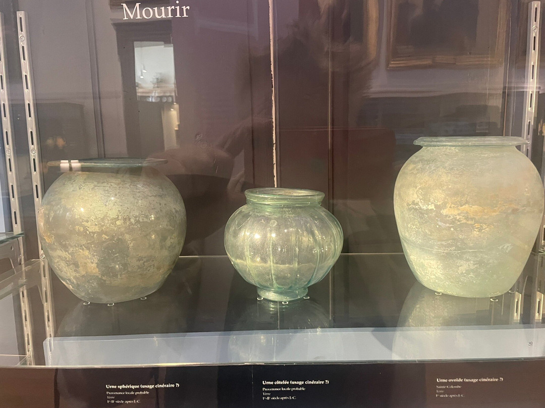 Musee des Beaux-Arts et d'Archeologie-维埃纳必去景点