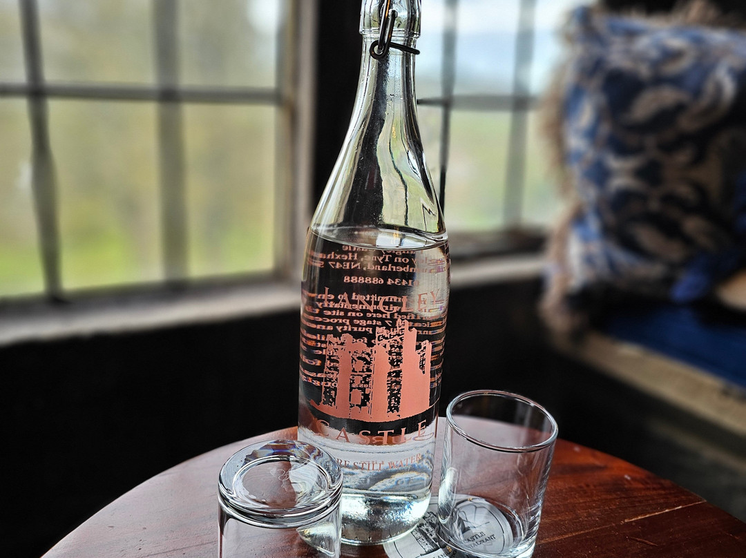 兰利城堡酒店主图