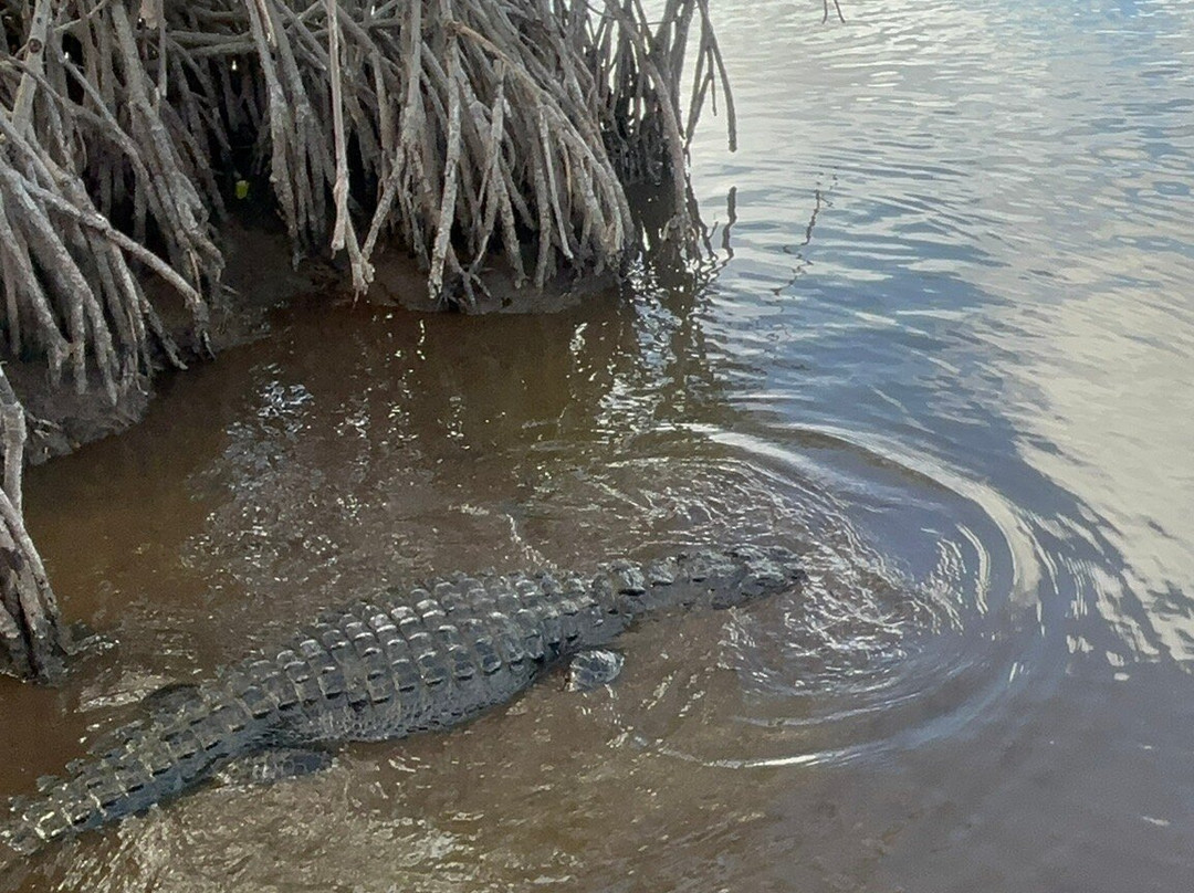 Wooten's Everglades Airboat Tour-奥乔皮必去景点
