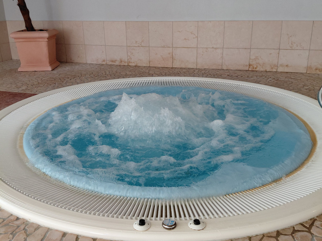 特劳贝阿克提夫酒店主图