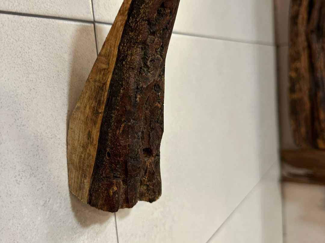 贝坦索斯卡索纳酒店主图