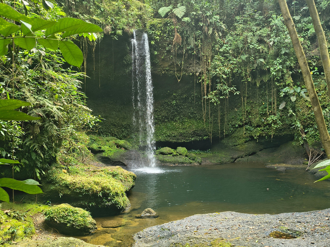 Aves y Aventuras en Putumayo-Mocoa必去景点