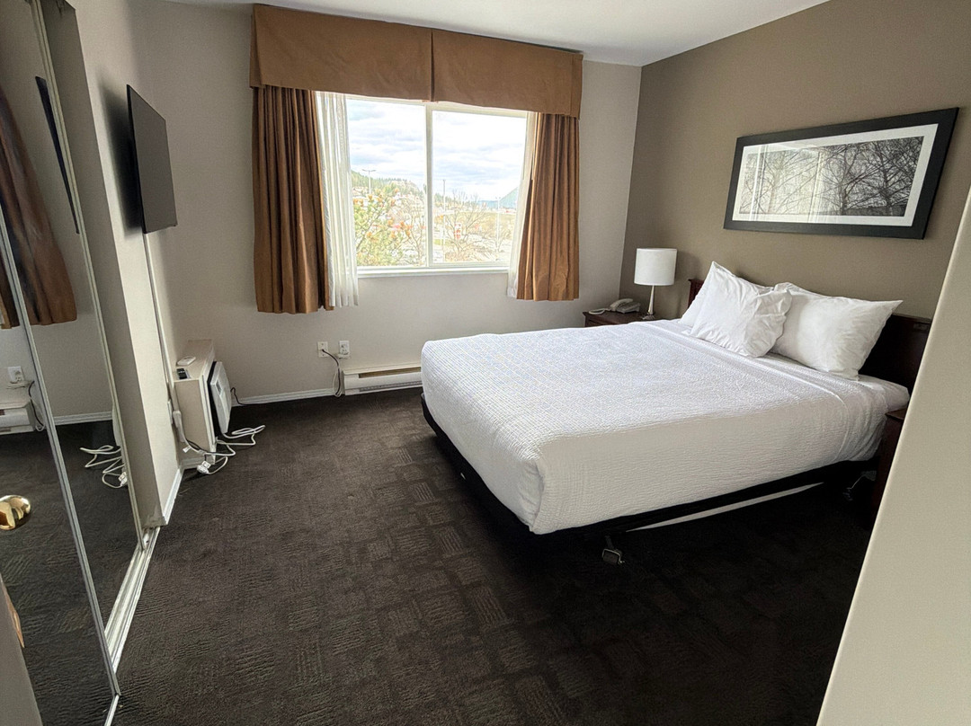 桑德曼威廉斯莱克套房酒店主图