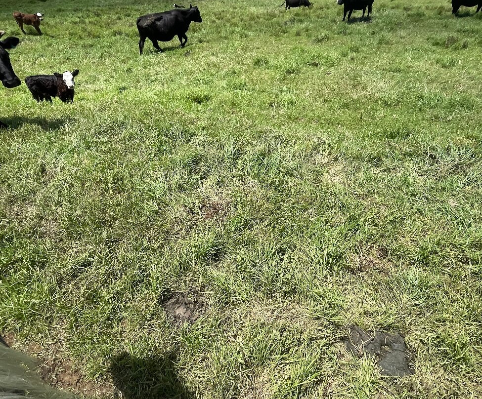 Na'alapa Stables - Kahua Ranch-卡慕也拉必去景点