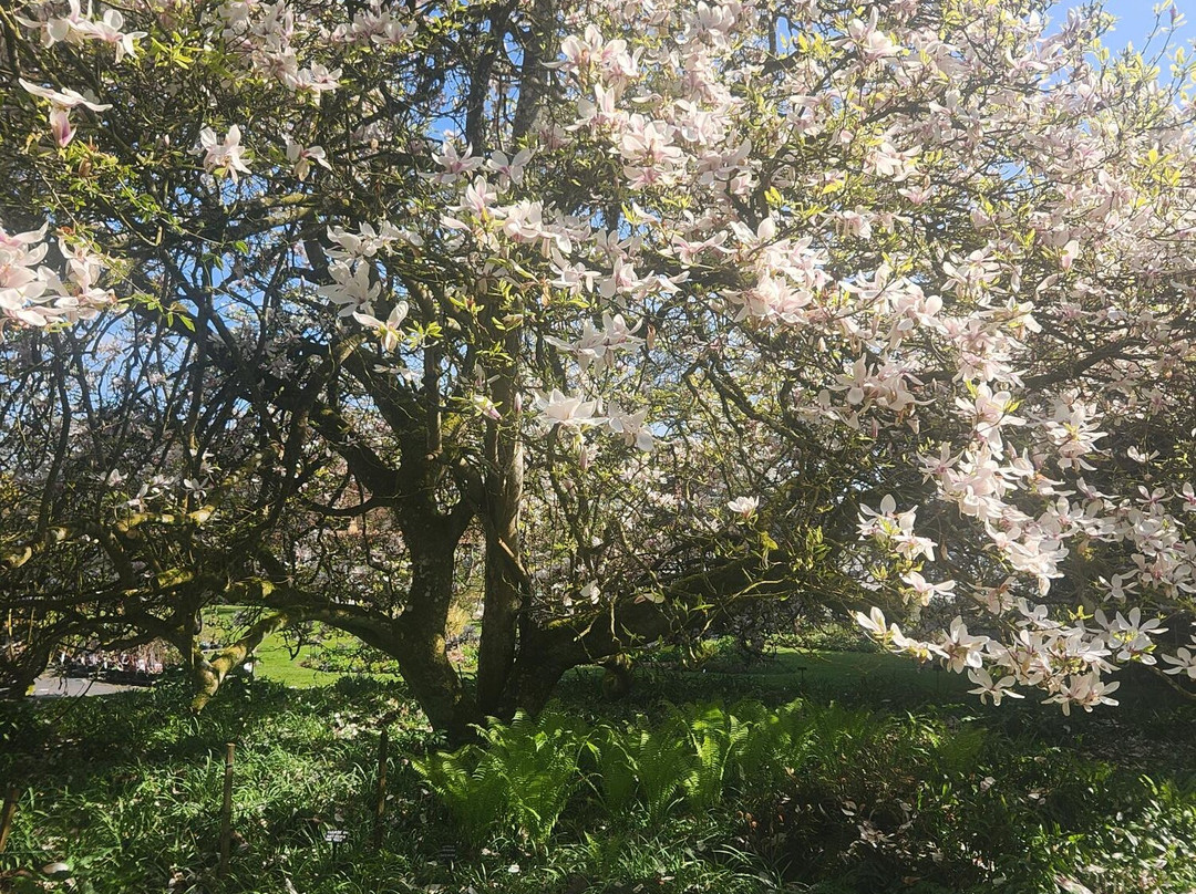West Acre Gardens-West Acre必去景点