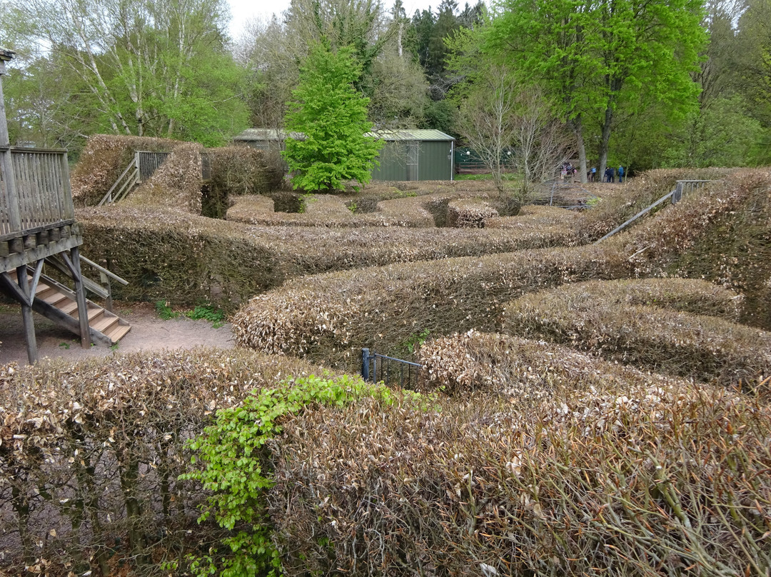 Wildwood Devon-Ottery St. Mary必去景点