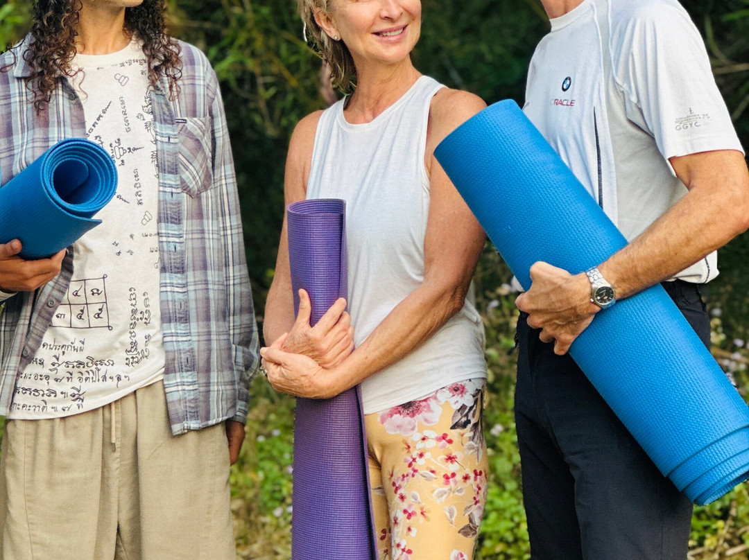 Ayurveda Yoga Villa Group Of Retreat Centres And Hospitals主图