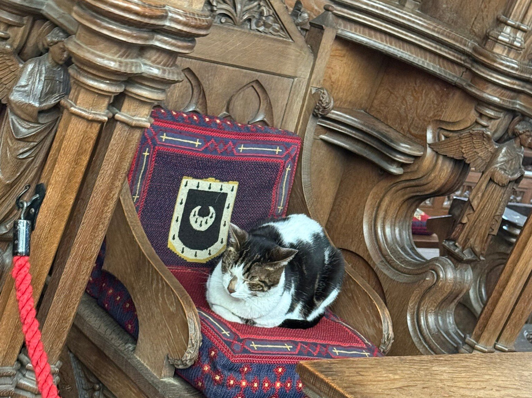 诺里奇大教堂-诺威奇必去景点