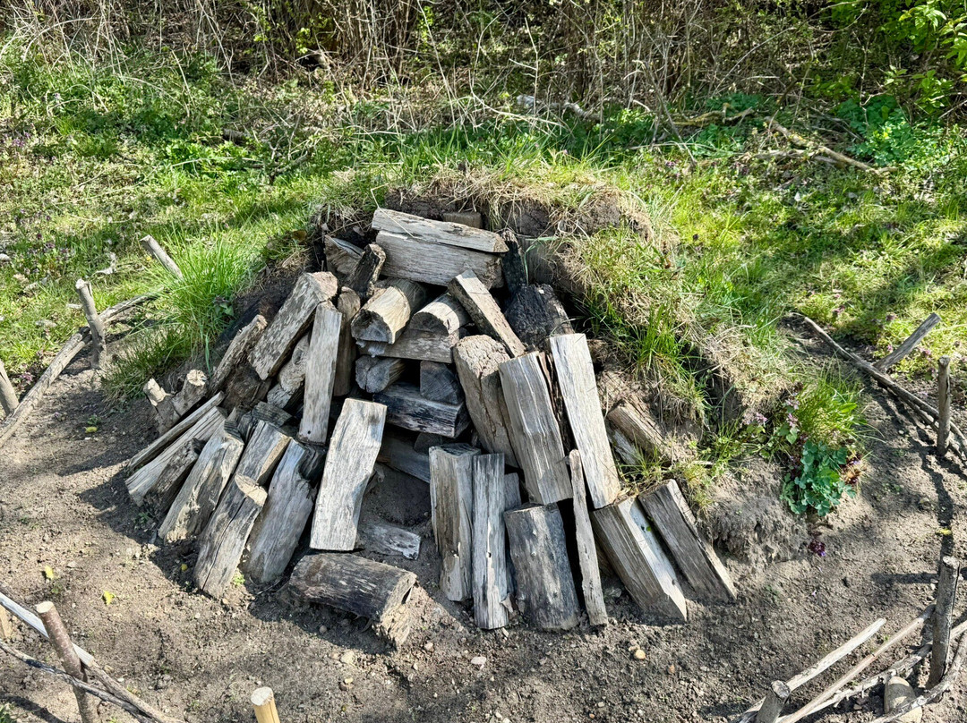 Archäologisches Zentrum Hitzacker-Hitzacker必去景点